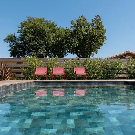 Villa Contemporaine Avec Piscine Vensac
