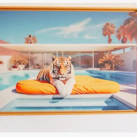 Contemporaine Avec Piscine *